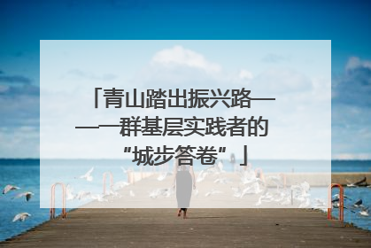 青山踏出振兴路——一群基层实践者的“城步答卷”