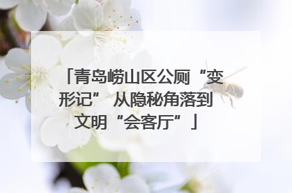 青岛崂山区公厕“变形记” 从隐秘角落到文明“会客厅”