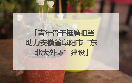青年骨干挺膺担当 助力安徽省阜阳市“东北大外环”建设