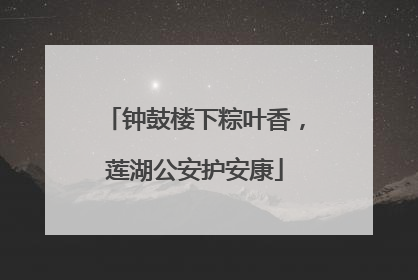 钟鼓楼下粽叶香，莲湖公安护安康