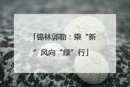 锡林郭勒：乘“新”风向“绿”行