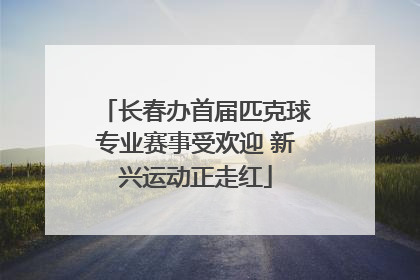 长春办首届匹克球专业赛事受欢迎 新兴运动正走红
