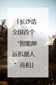 长沙造全国首个“智能押运机器人”亮相