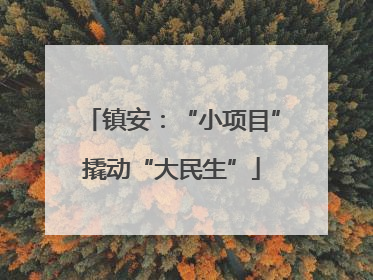 镇安：“小项目”撬动“大民生”