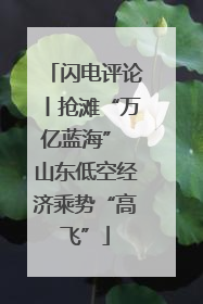 闪电评论丨抢滩“万亿蓝海” 山东低空经济乘势“高飞”