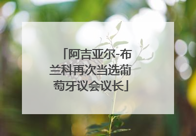 阿吉亚尔-布兰科再次当选葡萄牙议会议长