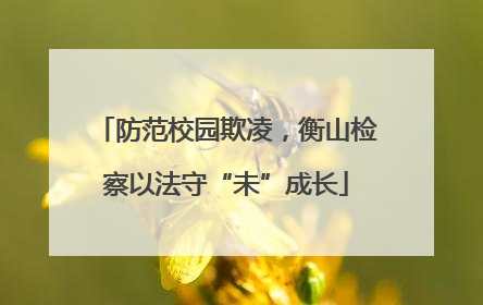 防范校园欺凌，衡山检察以法守“未”成长