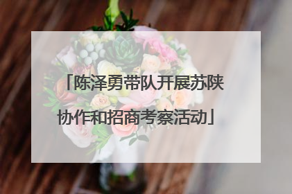 陈泽勇带队开展苏陕协作和招商考察活动