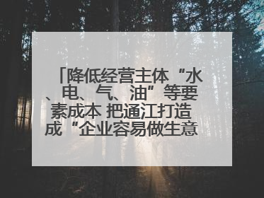 降低经营主体“水、电、气、油”等要素成本 把通江打造成“企业容易做生意的地方”