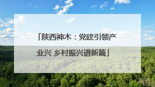 陕西神木：党建引领产业兴 乡村振兴谱新篇