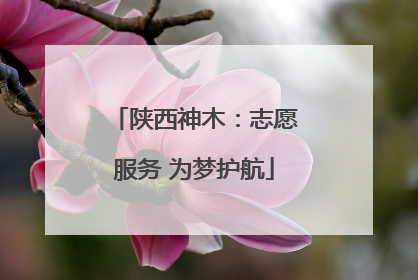 陕西神木：志愿服务 为梦护航