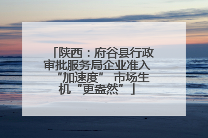 陕西：府谷县行政审批服务局企业准入“加速度” 市场生机“更盎然”