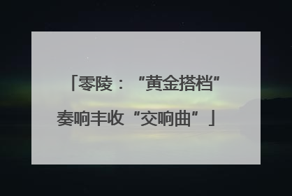 零陵：“黄金搭档”奏响丰收“交响曲”