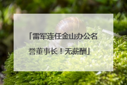 雷军连任金山办公名誉董事长！无薪酬