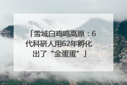 雪域白鸡鸣高原：6代科研人用62年孵化出了“金蛋蛋”
