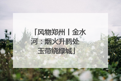风物郑州丨金水河：烟火升腾处 玉带绕绿城