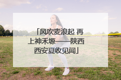风吹麦浪起 再上神禾塬——陕西西安夏收见闻