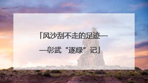 风沙刮不走的足迹——彰武“逐绿”记