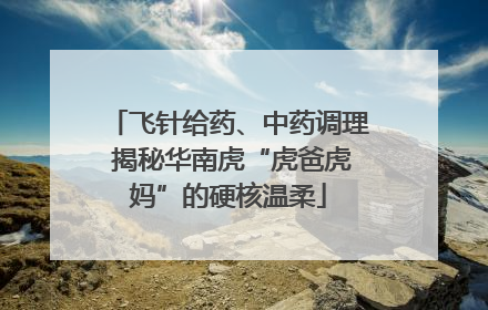 飞针给药、中药调理 揭秘华南虎“虎爸虎妈”的硬核温柔