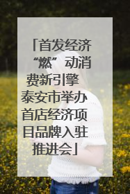 首发经济“燃”动消费新引擎 泰安市举办首店经济项目品牌入驻推进会