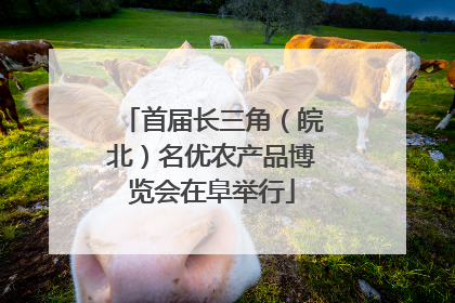首届长三角（皖北）名优农产品博览会在阜举行