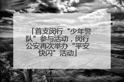 首支闵行“少年警队”参与活动，闵行公安再次举办“平安快闪”活动