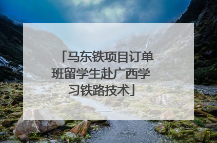 马东铁项目订单班留学生赴广西学习铁路技术