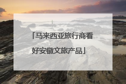 马来西亚旅行商看好安徽文旅产品