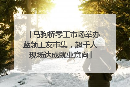 马驹桥零工市场举办蓝领工友市集，超千人现场达成就业意向