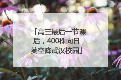 高三最后一节课后，400株向日葵空降武汉校园