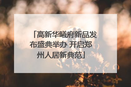 高新华曦府新品发布盛典举办 开启郑州人居新典范