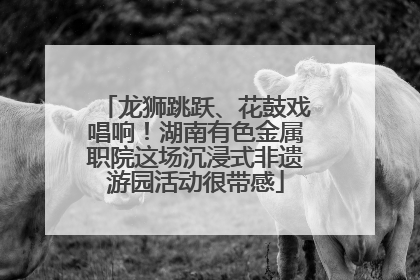龙狮跳跃、花鼓戏唱响！湖南有色金属职院这场沉浸式非遗游园活动很带感