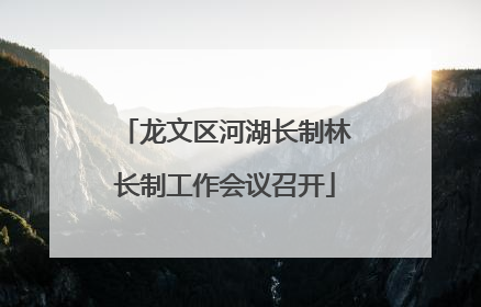 龙文区河湖长制林长制工作会议召开