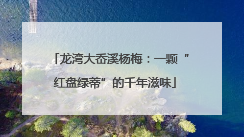 龙湾大岙溪杨梅：一颗“红盘绿蒂”的千年滋味