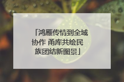 鸿雁传情到全域协作 甬库共绘民族团结新图景