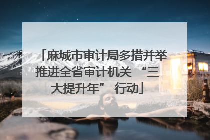 麻城市审计局多措并举推进全省审计机关 “三大提升年” 行动