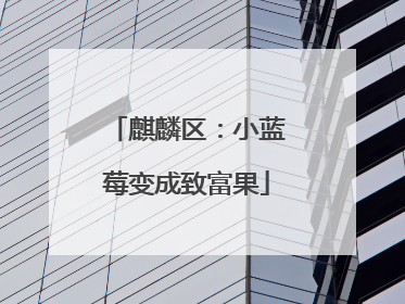 麒麟区：小蓝莓变成致富果