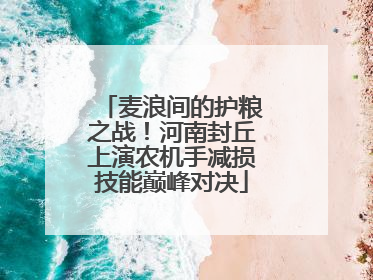 麦浪间的护粮之战！河南封丘上演农机手减损技能巅峰对决