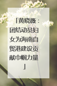 黄晓薇：团结动员妇女为海南自贸港建设贡献巾帼力量