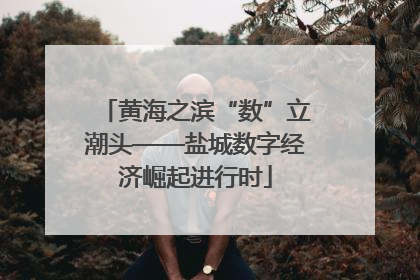 黄海之滨“数”立潮头——盐城数字经济崛起进行时