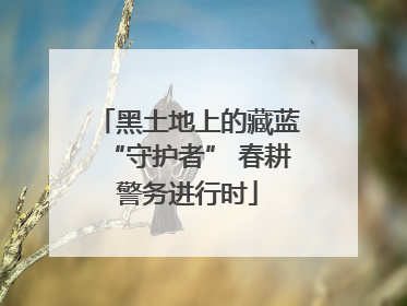 黑土地上的藏蓝“守护者” 春耕警务进行时