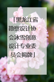 黑龙江省勘察设计协会冰雪创意设计专业委员会揭牌