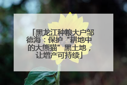 黑龙江种粮大户邹德海：保护“耕地中的大熊猫”黑土地，让增产可持续