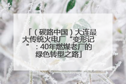 （碳路中国）大连最大传统火电厂“变形记”：40年燃煤老厂的绿色转型之路