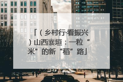 （乡村行·看振兴）山西襄垣：一粒“米”的新“稻”路