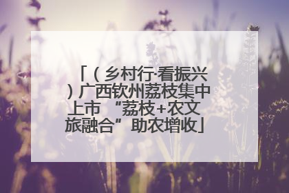 （乡村行·看振兴）广西钦州荔枝集中上市 “荔枝+农文旅融合”助农增收