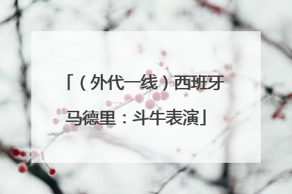 （外代一线）西班牙马德里：斗牛表演