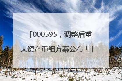 000595，调整后重大资产重组方案公布！