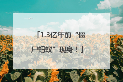 1.3亿年前“僵尸蚂蚁”现身！