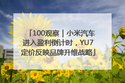 100观察｜小米汽车进入盈利倒计时，YU7定价反映品牌升维战略